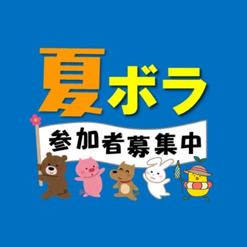 夏のボランティア体験