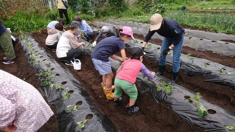 上井草結いの会「親子で農業体験プロジェクト」のご紹介