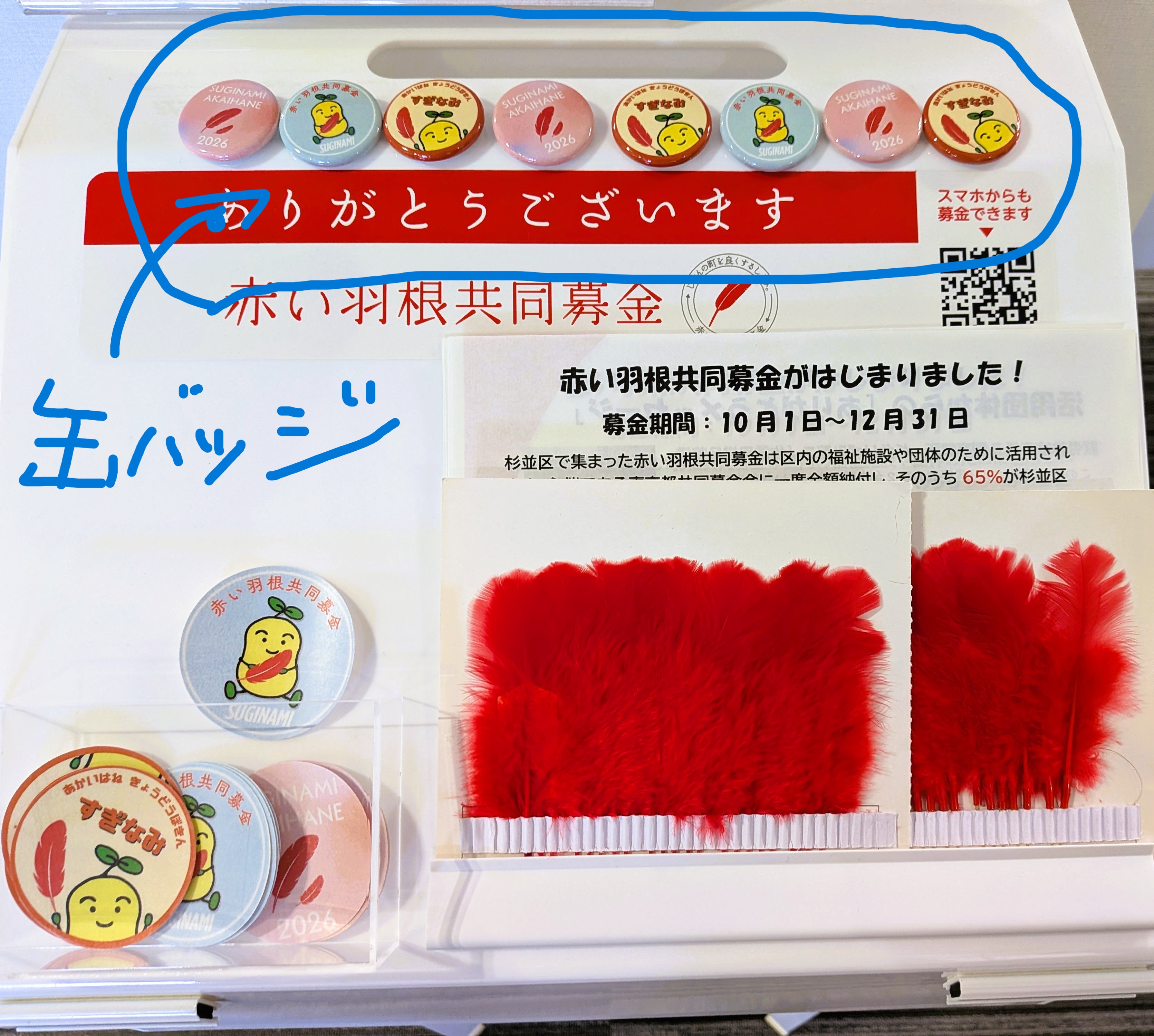 1001ブログ写真補正.jpg